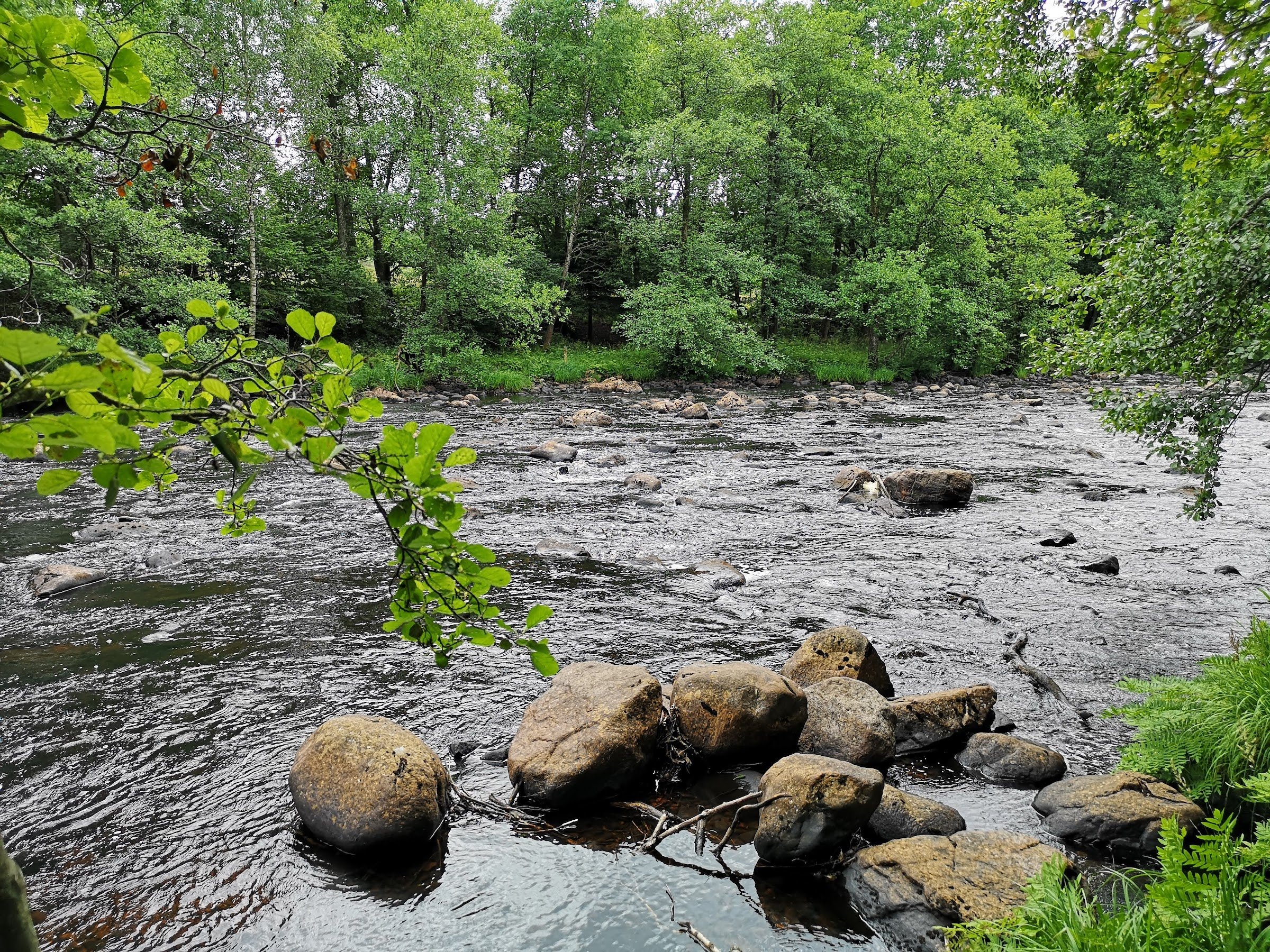 Sumpafallen Nature Reserve